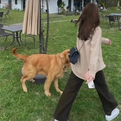 水下之旅